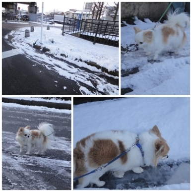 雪.jpg