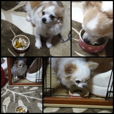 食事.jpg