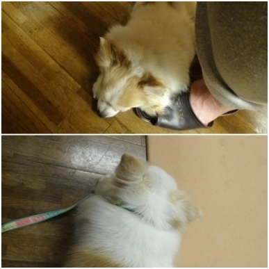 食事中.jpg