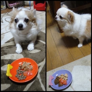 2チー.jpg