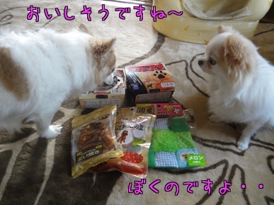 2チー.jpg