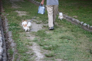 IMG_1073.JPG