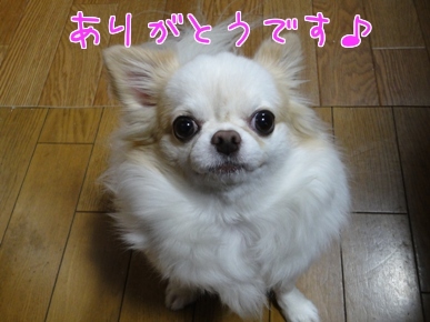 ZM6eBJhGcCfO2kS1357820210_1357820530.jpg